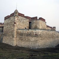 Cetatea Baba Vida